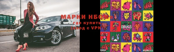 прущие грибы Майский