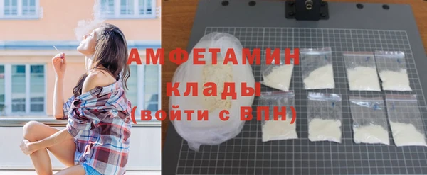 прущие грибы Майский