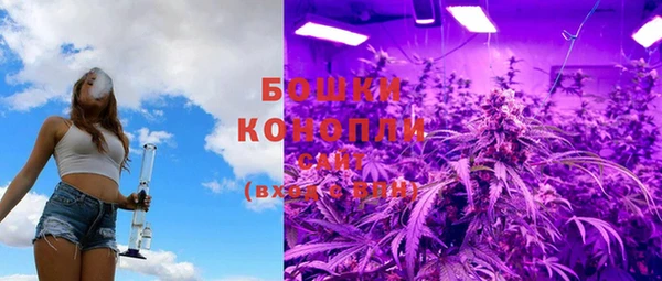 прущие грибы Майский